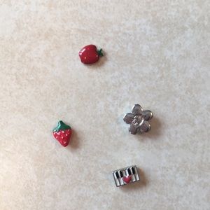 Origami Owl charms, 2014 collection